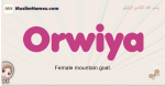 Orwiya muslim girls name and meaning, islamic girls name Orwiya