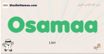 Osamaa muslim boys name and meaning, islamic boys name Osamaa