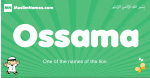 Ossama arabic boys name and meaning, quranic boys name Ossama