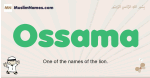 Ossama muslim boys name and meaning, islamic boys name Ossama