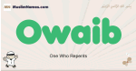 Owaib muslim boys name and meaning, islamic boys name Owaib