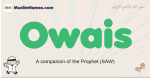 Owais muslim boys name and meaning, islamic boys name Owais