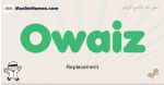 Owaiz muslim boys name and meaning, islamic boys name Owaiz