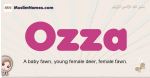 Ozza muslim girls name and meaning, islamic girls name Ozza