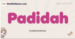 Padidah muslim girls name and meaning, islamic girls name Padidah