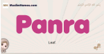 Panra muslim girls name and meaning, islamic girls name Panra