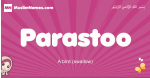 Parastoo arabic girls name and meaning, muslim girl name Parastoo