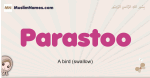 Parastoo muslim girls name and meaning, islamic girls name Parastoo