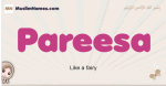 Pareesa muslim girls name and meaning, islamic girls name Pareesa