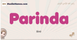Parinda muslim girls name and meaning, islamic girls name Parinda
