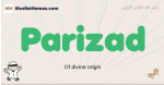 Parizad muslim boys name and meaning, islamic boys name Parizad