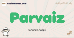 Parvaiz muslim boys name and meaning, islamic boys name Parvaiz