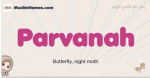 Parvanah muslim girls name and meaning, islamic girls name Parvanah