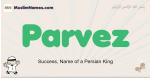 Parvez muslim boys name and meaning, islamic boys name Parvez