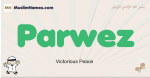 Parwez muslim boys name and meaning, islamic boys name Parwez