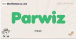 Parwiz muslim boys name and meaning, islamic boys name Parwiz