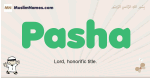 Pasha muslim boys name and meaning, islamic boys name Pasha