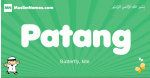 Patang arabic boys name and meaning, quranic boys name Patang