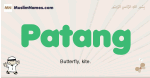 Patang muslim boys name and meaning, islamic boys name Patang
