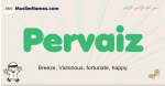 Pervaiz muslim boys name and meaning, islamic boys name Pervaiz