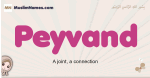 Peyvand muslim girls name and meaning, islamic girls name Peyvand