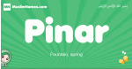 Pinar arabic girl name and meaning, quranic girls name Pinar
