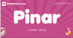 Pinar arabic girls name and meaning, muslim girl name Pinar