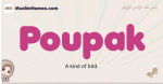 Poupak muslim girls name and meaning, islamic girls name Poupak
