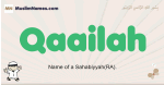 Qaailah muslim boys name and meaning, islamic boys name Qaailah