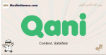 Qani muslim boys name and meaning, islamic boys name Qani