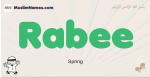 Rabee muslim boys name and meaning, islamic boys name Rabee