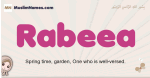 Rabeea muslim girls name and meaning, islamic girls name Rabeea