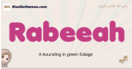 Rabeeah muslim girls name and meaning, islamic girls name Rabeeah