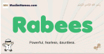 Rabees muslim boys name and meaning, islamic boys name Rabees