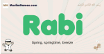 Rabi muslim boys name and meaning, islamic boys name Rabi