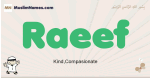 Raeef muslim boys name and meaning, islamic boys name Raeef