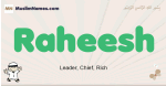 Raheesh muslim boys name and meaning, islamic boys name Raheesh
