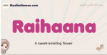 Raihaana muslim girls name and meaning, islamic girls name Raihaana