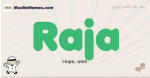 Raja muslim boys name and meaning, islamic boys name Raja