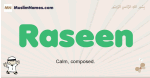 Raseen muslim boys name and meaning, islamic boys name Raseen