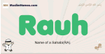 Rauh muslim boys name and meaning, islamic boys name Rauh
