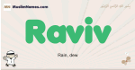 Raviv muslim boys name and meaning, islamic boys name Raviv