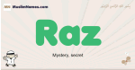 Raz muslim boys name and meaning, islamic boys name Raz