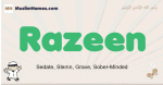 Razeen muslim boys name and meaning, islamic boys name Razeen