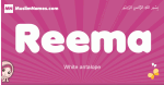 Reema arabic girls name and meaning, muslim girl name Reema