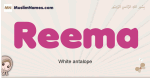 Reema muslim girls name and meaning, islamic girls name Reema