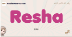 Resha muslim girls name and meaning, islamic girls name Resha