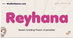 Reyhana muslim girls name and meaning, islamic girls name Reyhana