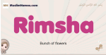 Rimsha muslim girls name and meaning, islamic girls name Rimsha