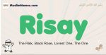 Risay muslim boys name and meaning, islamic boys name Risay